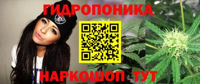 сатива Донецк