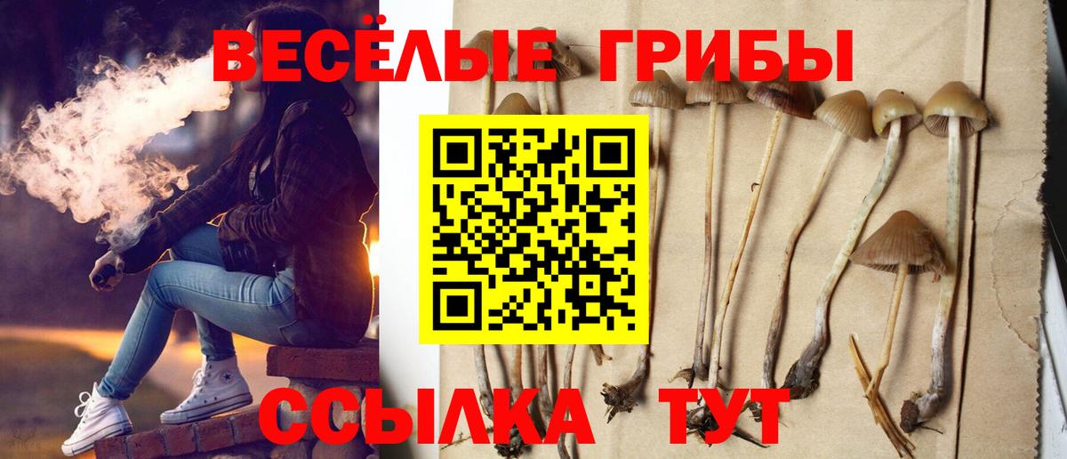Псилоцибиновые грибы прущие грибы Кулебаки